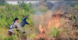 Dini hari tadi, Desa Kanigoro, Kecamatan Pagelaran, Kabupaten Malang, digemparkan oleh kebakaran besar yang melanda sebuah kandang ayam berlantai tiga. Foto; Polres Malang