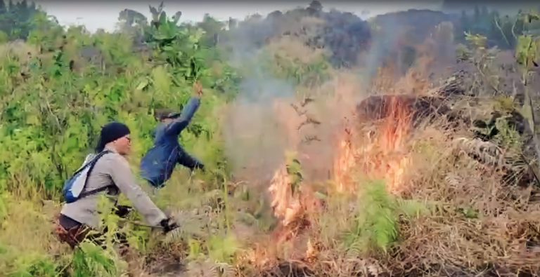 Dini hari tadi, Desa Kanigoro, Kecamatan Pagelaran, Kabupaten Malang, digemparkan oleh kebakaran besar yang melanda sebuah kandang ayam berlantai tiga. Foto; Polres Malang