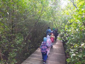 Pemerintah Kota Surabaya melalui Dinas Ketahanan Pangan dan Pertanian (DKPP) melaporkan lonjakan signifikan dalam kunjungan ke Kebun Raya Mangrove (KRM) Gunung Anyar. Foto: istimewa