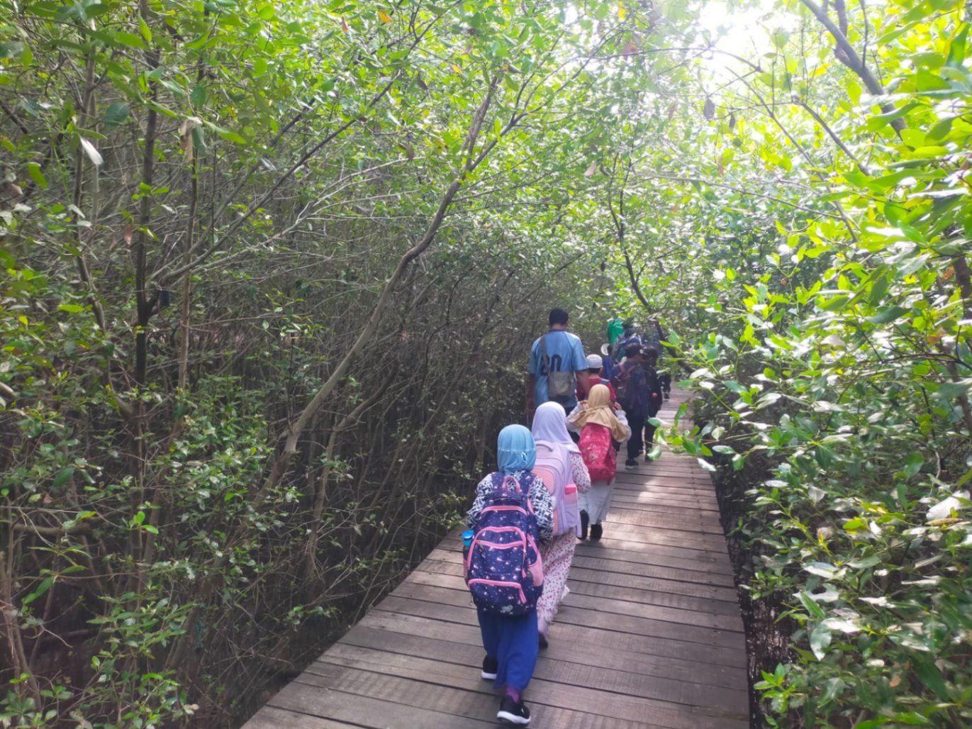 Pemerintah Kota Surabaya melalui Dinas Ketahanan Pangan dan Pertanian (DKPP) melaporkan lonjakan signifikan dalam kunjungan ke Kebun Raya Mangrove (KRM) Gunung Anyar. Foto: istimewa