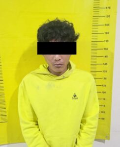 Polda Jatim, berhasil mengamankan seorang pria berinisial RN (31), warga Kecamatan Wagir, Kabupaten Malang. foto: Humas Polri