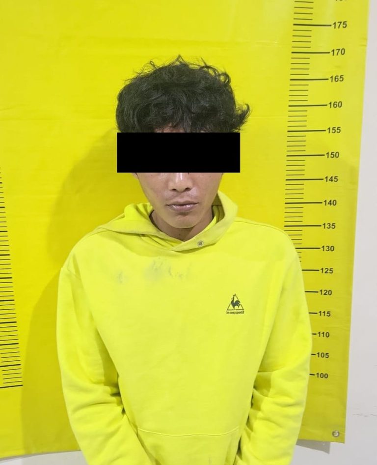 Polda Jatim, berhasil mengamankan seorang pria berinisial RN (31), warga Kecamatan Wagir, Kabupaten Malang. foto: Humas Polri