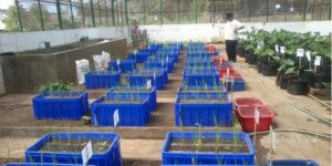 inovasi baru untuk mengatasi masalah pertumbuhan gulma dan evaporasi di lahan pertanian. Foto: Pemkot Malang