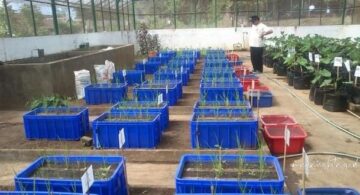 inovasi baru untuk mengatasi masalah pertumbuhan gulma dan evaporasi di lahan pertanian. Foto: Pemkot Malang