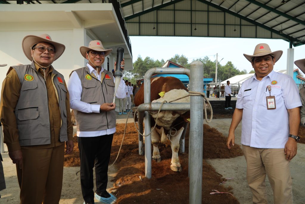 Wamentan saat mengunjungi Balai Besar Inseminasi Buatan Singosari Malang, Senin, 5 Agustus 2024. Foto: Kementerian Pertanian
