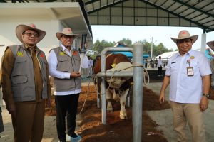 Wamentan saat mengunjungi Balai Besar Inseminasi Buatan Singosari Malang, Senin, 5 Agustus 2024. Foto: Kementerian Pertanian
