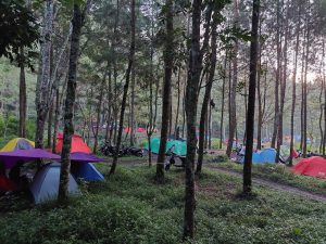 Tips dan rekomendasi Lokasi kemping di Malang