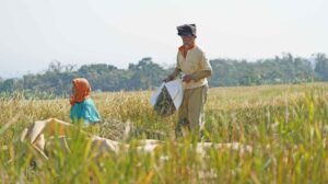 Kelompok Tani Sinar Harapan di Desa Sukorejo, Gandusari, Trenggalek, menunjukkan bagaimana inovasi bisa menjadi penyelamat. Foto: Badan Pusat Statistik RI