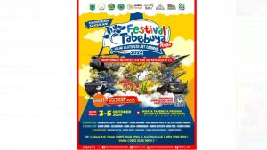 Festival Tabebuya 2024 diadakan untuk memperingati HUT TNI ke-79 dan Hari Jadi Kota Batu ke-23, berlangsung dari 3 hingga 5 Oktober 2024 di Wisata Tabebuya Pendem dan Ksatrian Pusdik Arhanud, Desa Pendem, Kota Batu.