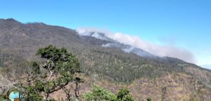 Akibat kebakaran hutan yang meluas, Gunung Argopuro terpaksa ditutup untuk sementara bagi para pendaki mulai tanggal 3 September 2024.