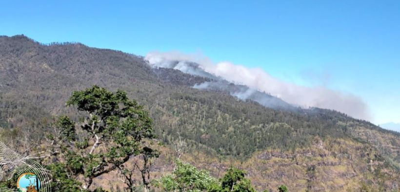 Akibat kebakaran hutan yang meluas, Gunung Argopuro terpaksa ditutup untuk sementara bagi para pendaki mulai tanggal 3 September 2024.