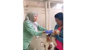 Dalam rangka memperingati Hari Rabies Sedunia 2024, Dinas Ketahanan Pangan dan Pertanian (Dispangtan) Kota Malang menyelenggarakan program vaksinasi rabies dan kastrasi kucing jantan gratis di Pusat Kesehatan Hewan Kota Malang, Jalan Sarangan.