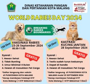 Dalam rangka memperingati Hari Rabies Sedunia yang jatuh setiap tanggal 28 September, Dinas Ketahanan Pangan dan Pertanian (Dispangtan) Kota Malang kembali menggelar program vaksinasi rabies dan kastrasi kucing jantan secara gratis.