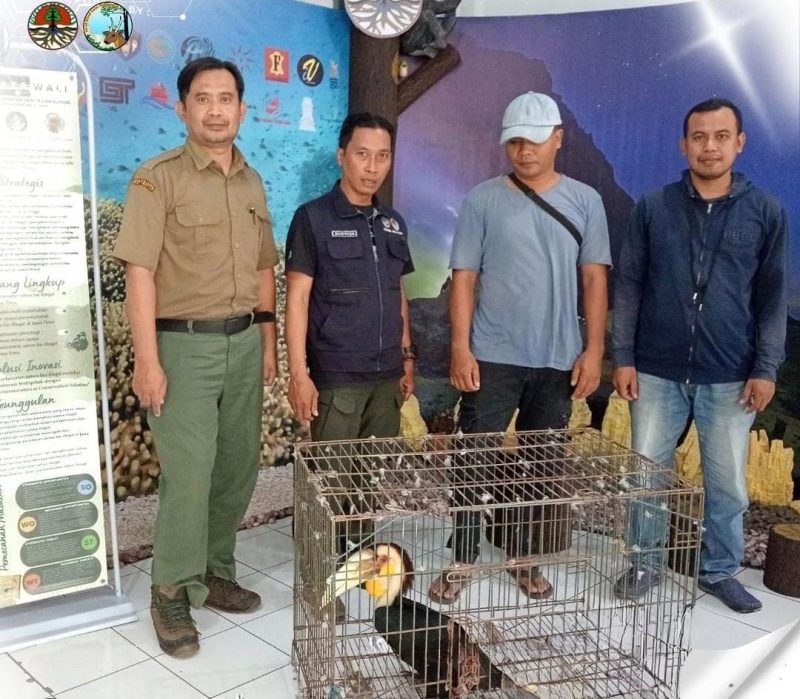 Upaya bersama masyarakat dan Pemadam Kebakaran (Damkar) dalam menyerahkan satwa liar dilindungi ke Balai Besar Konservasi Sumber Daya Alam (BBKSDA) Jawa Timur menunjukkan komitmen kuat dalam melindungi keanekaragaman hayati dan menjaga keseimbangan ekosistem.