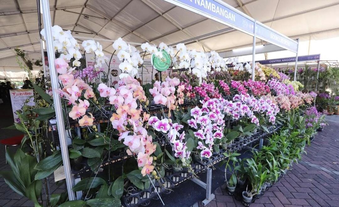 Kota Batu kembali memukau dengan diselenggarakannya Batu Shining Orchid Week 2024, yang berlangsung hingga 13 Oktober