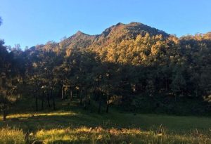 UPT Tahura Raden Soerjo telah memutuskan untuk menutup sementara seluruh jalur pendakian ke Gunung Arjuno-Welirang