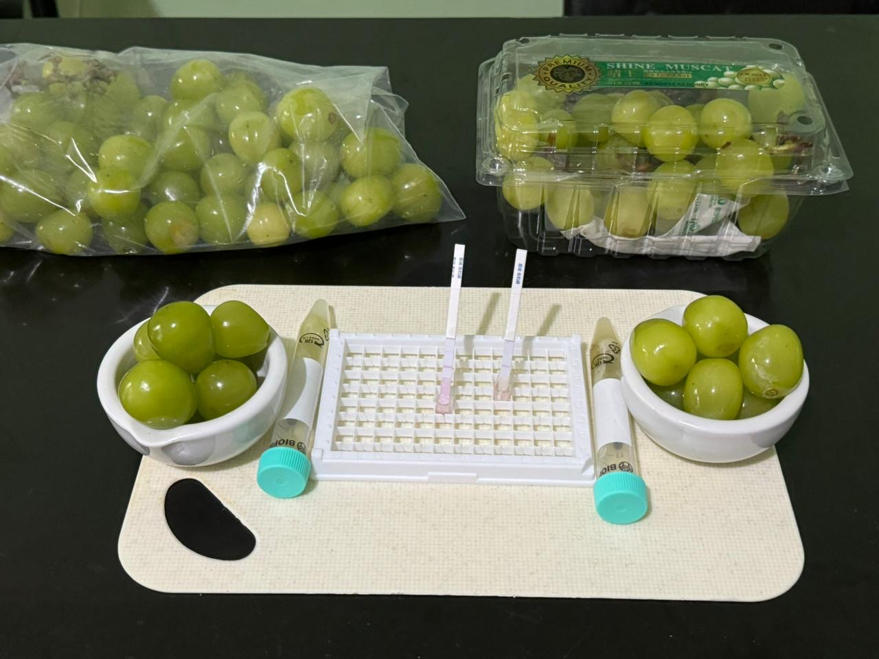 Untuk memastikan anggur Shine Muscat yang kita makan aman, Badan Pangan Nasional (NFA) bekerja sama dengan pemerintah daerah melakukan pemeriksaan cepat