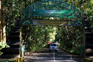 Dalam rangka meningkatkan keselamatan pengunjung di kawasan konservasi, Balai Besar Konservasi Sumber Daya Alam (BBKSDA) Jawa Timur akan menerapkan asuransi jiwa untuk setiap aktivitas wisata, penelitian, magang, dan kegiatan lainnya mulai 1 Oktober 2024