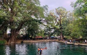 Sumber Taman memang menjadi salah satu hidden gem di Malang yang mampu memikat banyak pengunjung.
