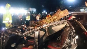 Pohon tumbang Malang