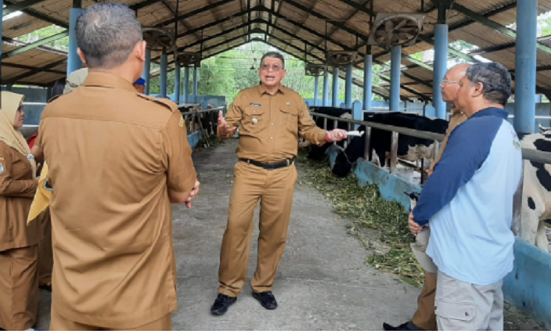 Keju Guoda Kabupaten Malang