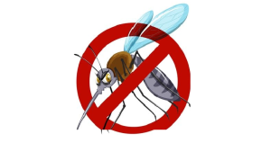 DBD Kabupaten Malang