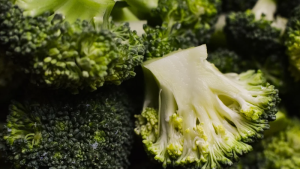 Sayur Sumber Protein