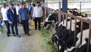 PMK Kabupaten Malang