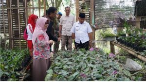 Potensi Unggulan Wajak