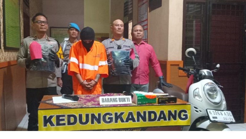 Curi Telur Beli Miras