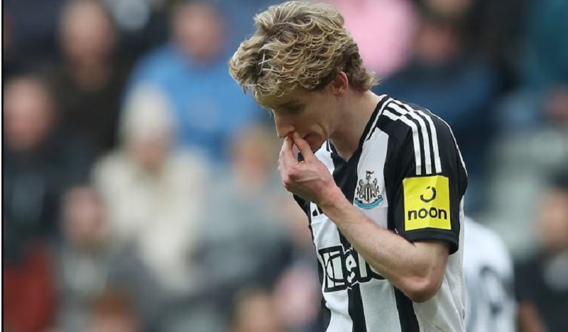 newcastle brighton