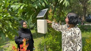 UM ecofarming pangan lokal